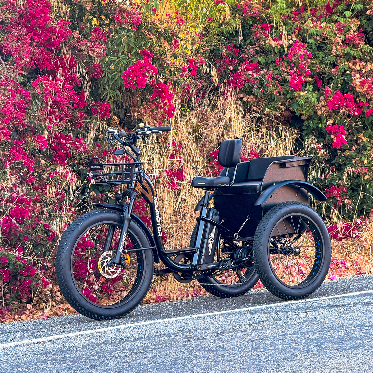 Comparing the Best Electric Trikes for Seniors of Addmotor and Sixthreezero