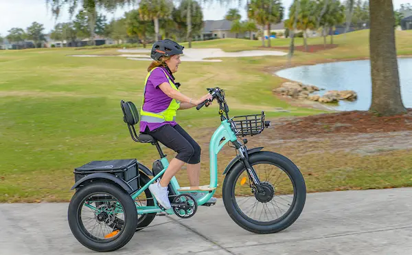 fat tire electric trike for adults