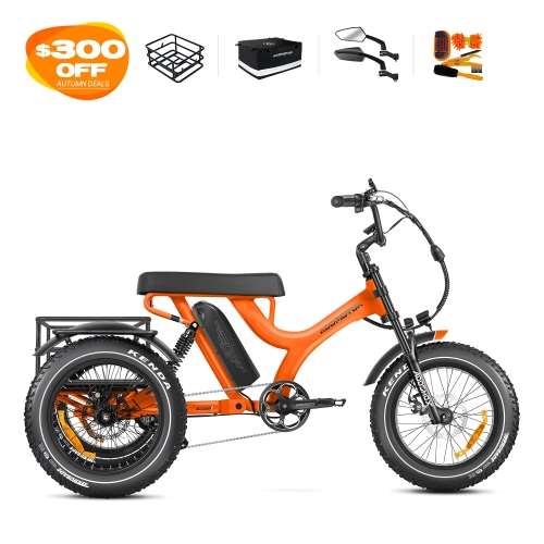 Herotri II M-365X Full-Suspension eTrike